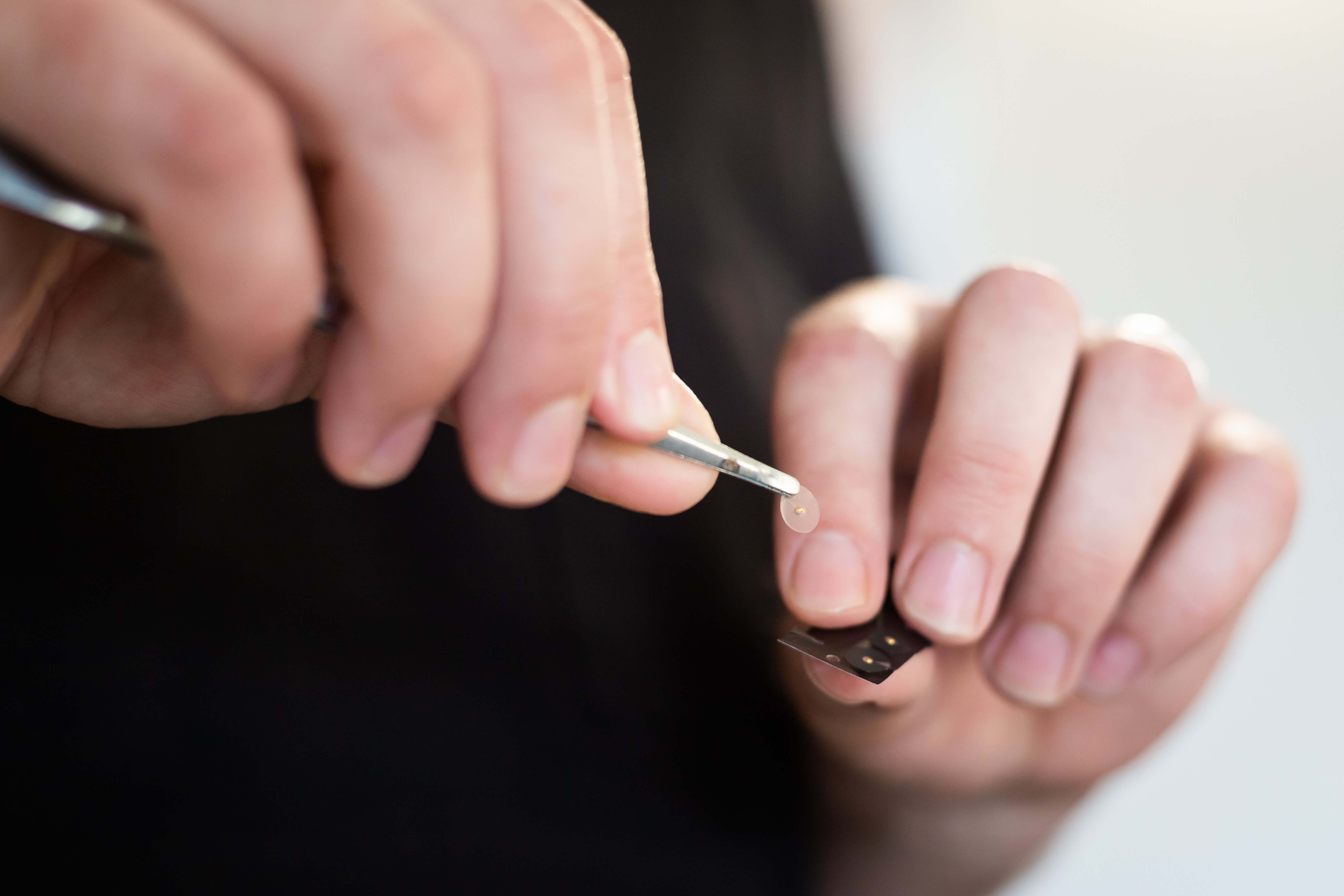 Ear seeds used in auricular acupuncture at Deanna Thomas clinic Middlesbrough